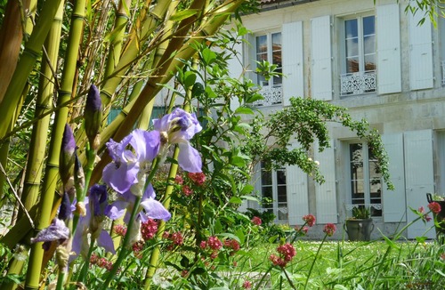 Saintes House | CAMPAIGN IN CITY. Heated private pool. On the edge of Charente in Saintes.