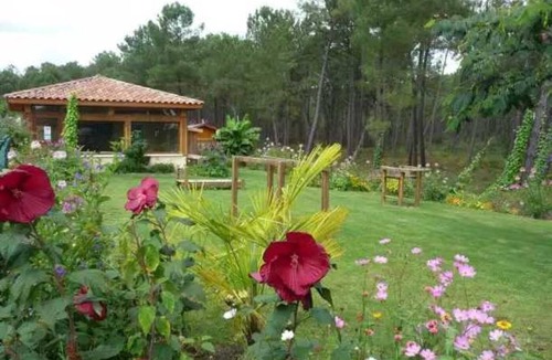 Saint-Michel-Escalus House | Camping 4 étoiles - Piscine - eebe0e