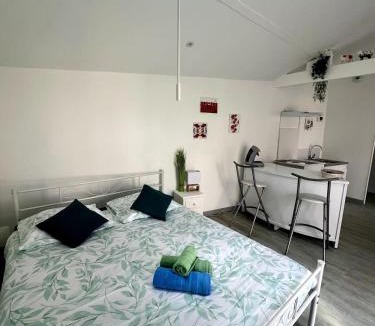 Brive-la-Gaillarde Apartment | Casa 4 Saisons - Studio à thème - PiscineJardin - Proche centre-ville