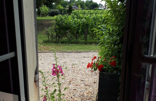 Petit-Palais-et-Cornemps House | Château Vieux Mougnac - Holiday house near Saint-Emilion Bordeaux Vinexpo