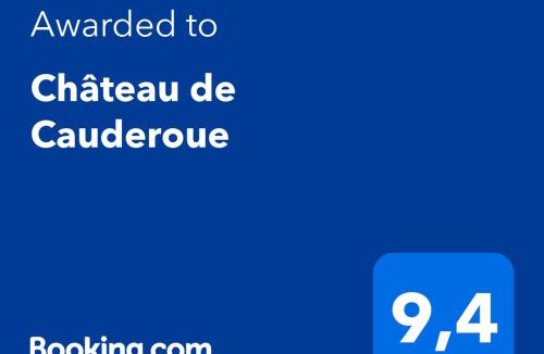 Nerac Bed & Breakfast | Château de Cauderoue