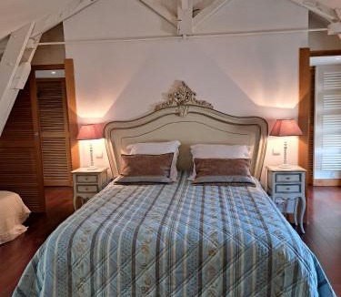 Lussac Bed & Breakfast | Château de Lussac