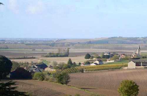 Ternay Bed & Breakfast | Château de Ternay