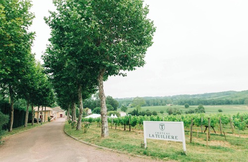 Saint-Ciers-de-Canesse House | Château La Tuilière: pool and it's own wineyard