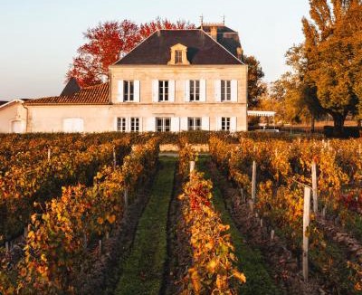 Saint-Emilion Bed & Breakfast | Château Grand Corbin - Bed & Breakfast