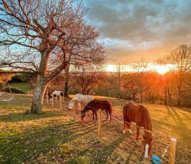 Arbus Bed & Breakfast | Chambre au cœur de la nature