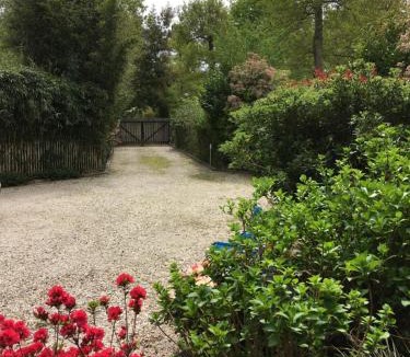 Taussat Bed & Breakfast | Chambre d'HÔTE Maison De L'amitié