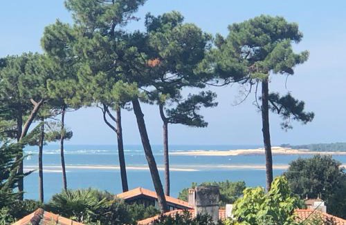 Pyla-sur-Mer Bed & Breakfast | Chambre d’hôtes Pyla sur Mer