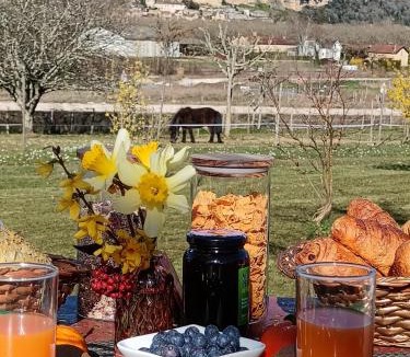 Castelnaud-la-Chapelle Bed & Breakfast | Chambres d'hôtes BELLE-VUE -Vue sur château