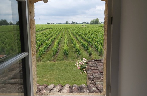 Saint-Sulpice-de-Faleyrens House | Charming detached house with private pool near St-Emilion.