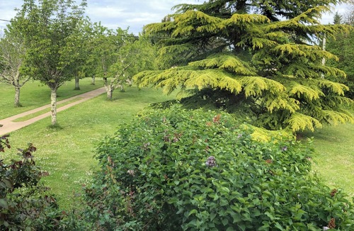 Saint-Vincent-de-Pertignas House | Charming house on large enclosed grounds 15 minutes from Saint-Emilion