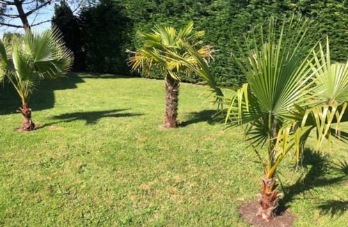Saint-Gregoire-d'Ardennes House | Charming home in the vineyards of Cognac with a swimming pool for 8 persons