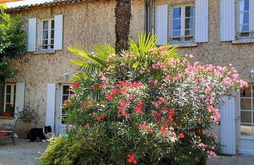 Chateauneuf-sur-Charente Cottage | Charming Riverside Gite, Spacious Garden, Terrace, Close to Nature and Activities
