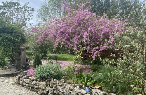 Saint-Ciers-sur-Gironde House | Charming Gironde farmhouse