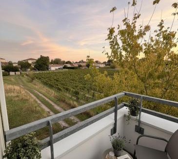 Libourne Apartment | Charming apartment overlooking vineyard in Libourne