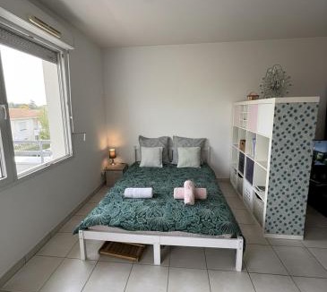 Libourne Apartment | Charming apartment overlooking vineyard in Libourne
