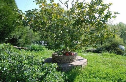 Mauzac-et-Grand-Castang Cottage | Charming cottage, quiet ideal rest with pool and sauna