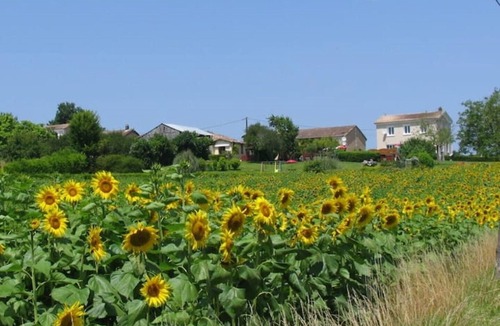 Chatenet House | Charming Gite 3* + pool + tasting room. Beautiful views down the Seugne Valley.