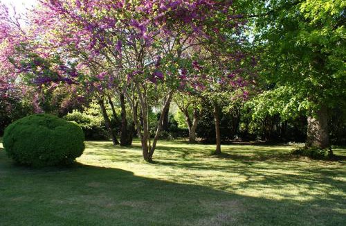 Gontaud Apartment | Chateau De Grenier Apartment
