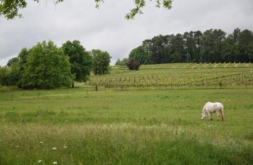 Puynormand House | Chez Claude et Aline