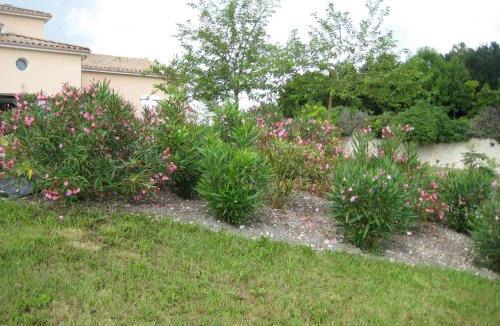 Segonzac House | Chic Apartment in Segonzac with Swimming Pool