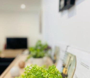 Cognac Apartment | "Cognac Gare" classé 3