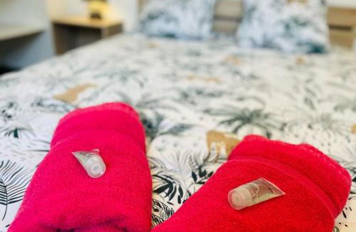 Cognac Apartment | "Cognac Gare" classé 3