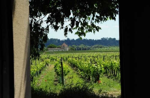 Saint-Sulpice-de-Faleyrens Cottage | Country Cottage/Gite - ST SULPICE DE FALEYRENSHouse with garden