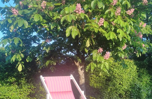 Clussais-la-Pommeraie Cottage | Country property with swimming pool