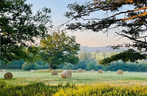 Malleret-Boussac House | Domaine Le Rianon