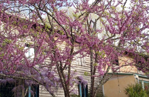 Meilhan-sur-Garonne Cottage | Eco cottage "In the Garden" at the edge of the side channel of the Garonne and the greenway