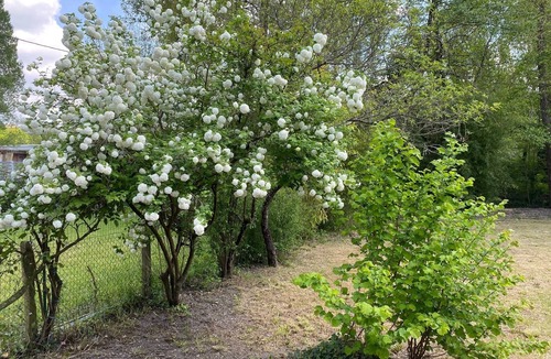 Riberac House | Entire house in the heart of Périgord for 6 to 8 people