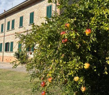 Orbetello Apartment | Fattoria Barca Colonna