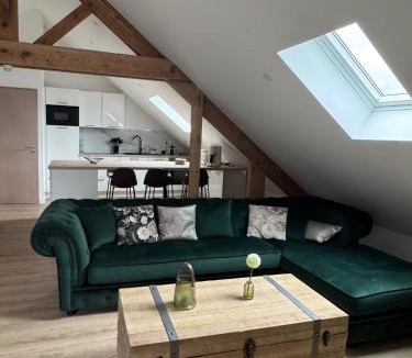 Brive-la-Gaillarde Apartment | Firmin Gaillard