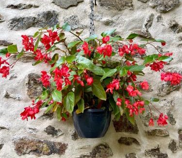 Bussiere-Badil House | Flore at Vive le Vert