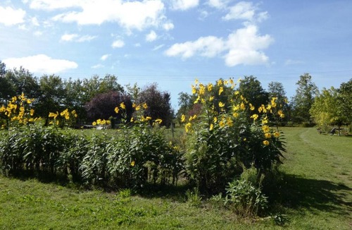 Aureilhan House | Gîte Aureilhan, 3 pièces, 4 personnes - FR-1-360-297