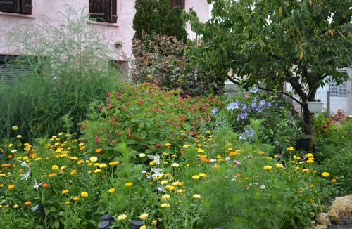 Listrac-Medoc House | Gîte de Bernones - Listrac-medoc