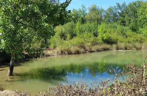 Cuq House | Gîte de campagne L'Estressol