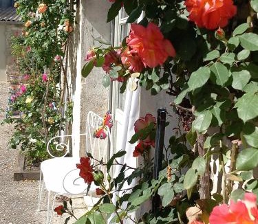 Prechac House | Gîte des oiseaux