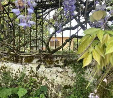Capian House | Gîte Lilas idéal pour 4 pers