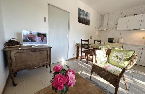Grenade-sur-l'Adour House | Gite de balloche