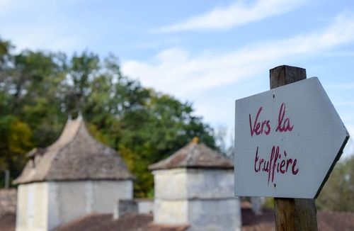 Saint-Aulaye-Puymangou House | Gîte on the edge of the woods