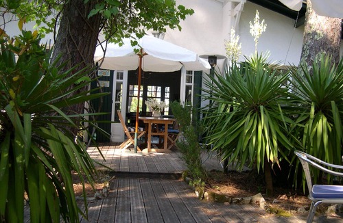 Pyla-sur-Mer Villa | Gorgeous Pilataise in its beautiful exotic garden