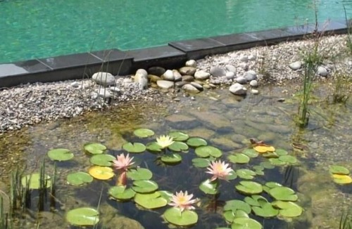 Les Restanques Apartment | Holiday apartment Grimaud for 1 - 2 persons with 1 bedroom - Row house