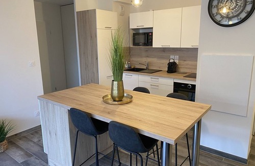 Vieux-Boucau-les-Bains Apartment | Ideal 4 pers T2 apartment 100m from beach with parking and pets allowed