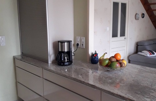 Saint-Hilaire-la-Palud Apartment | Ideal for visiting the marsh and relaxing with swimming pool, rowing boat, bicycles, park.