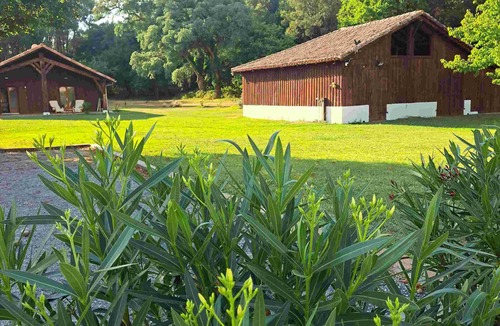 Leon House | L'Airial de Léon: 2 houses, swimming pool, peace, nature, gym and games room