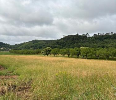 Calviac-en-Perigord House | L ancien fournil - Sejour authentique & douillet - Proche de Sarlat