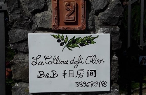 Giugnano Bed & Breakfast | La collina degli olivi