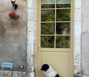 Condat-sur-Vezere House | La Cour de La Fleunie 1